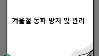 진도군 지산면 보전리에서 깨끗한 집, 어떻게 유지할까요? ✨