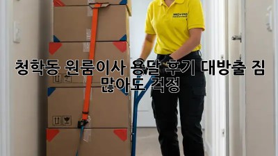 청학동 원룸이사 용달 후기 대방출! 짐 많아도 걱정 🚫
