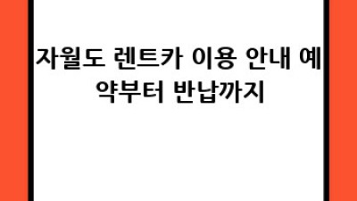 인천 자월도 렌트카 vs 리스 비교 가이드